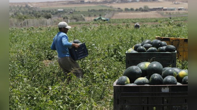 Израильские фермеры пожаловались Нетаньяху на российский кризис
