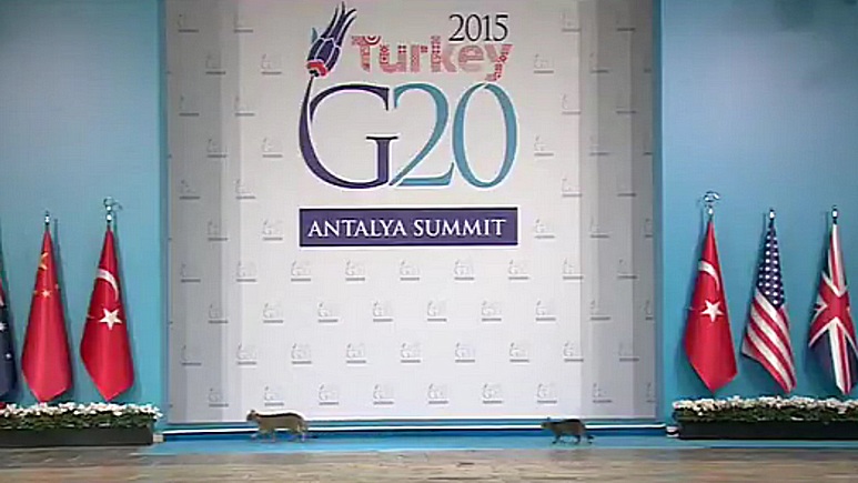  independent      g20 
