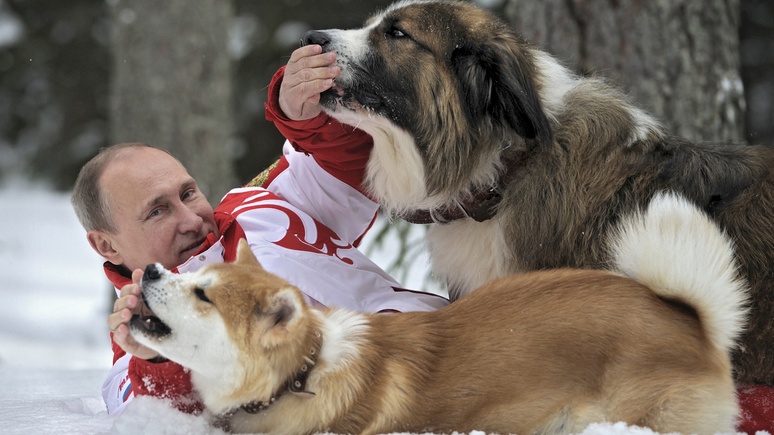 Sky News: Путин не проявил любви к «собачьей дипломатии» Японии