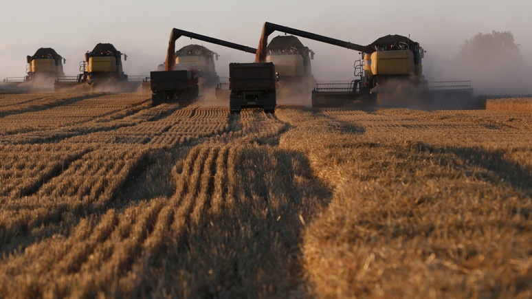 Bloomberg: рекордный урожай зерна станет серьёзным испытанием для России